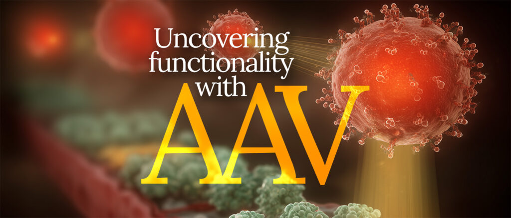AAV vectors for basic research - Vector Biolabs