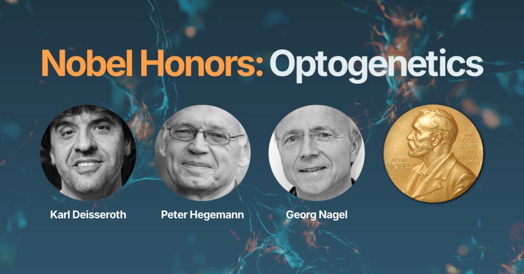2026 Nobel Prize Honors Optogenetics: